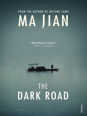 cover image of The Dark Road